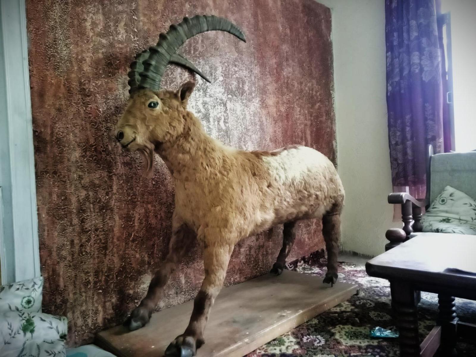 Golden Ibex Resort Skardu Bagian luar foto